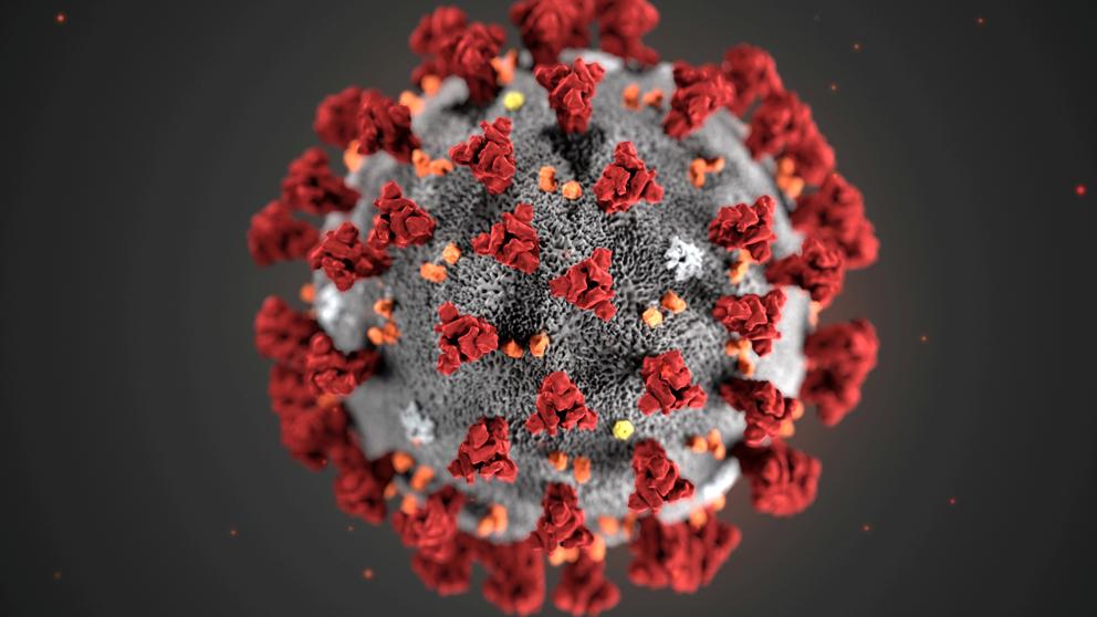 escritor predijo coronavirus años