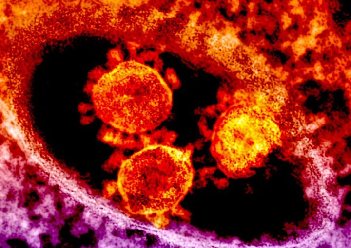 depiction of coronavirus