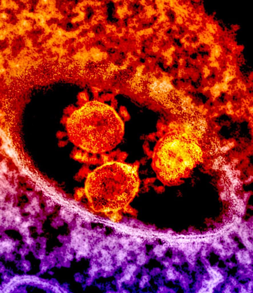 depiction of coronavirus