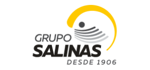 grupo salinas logo